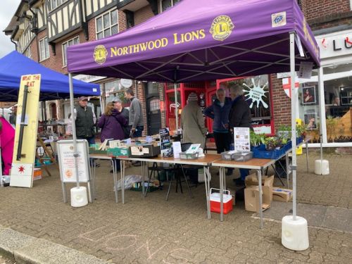 Stall selling books, dvds and Barbara's home grown indoor and garden plants, joined by Lions Sue and Gyll