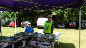 Eastcote House fete